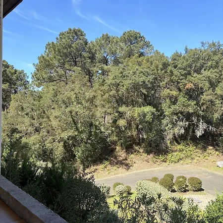 Duplex Cosy Entre Plages Et Golf De
